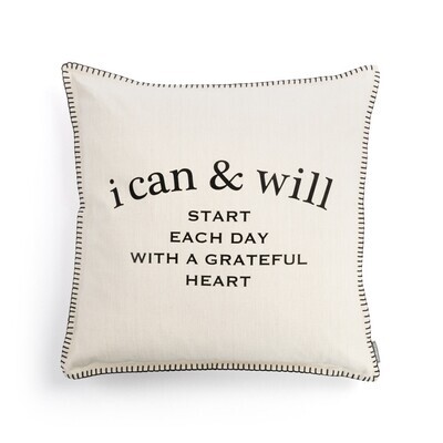 i can & will - Pillows