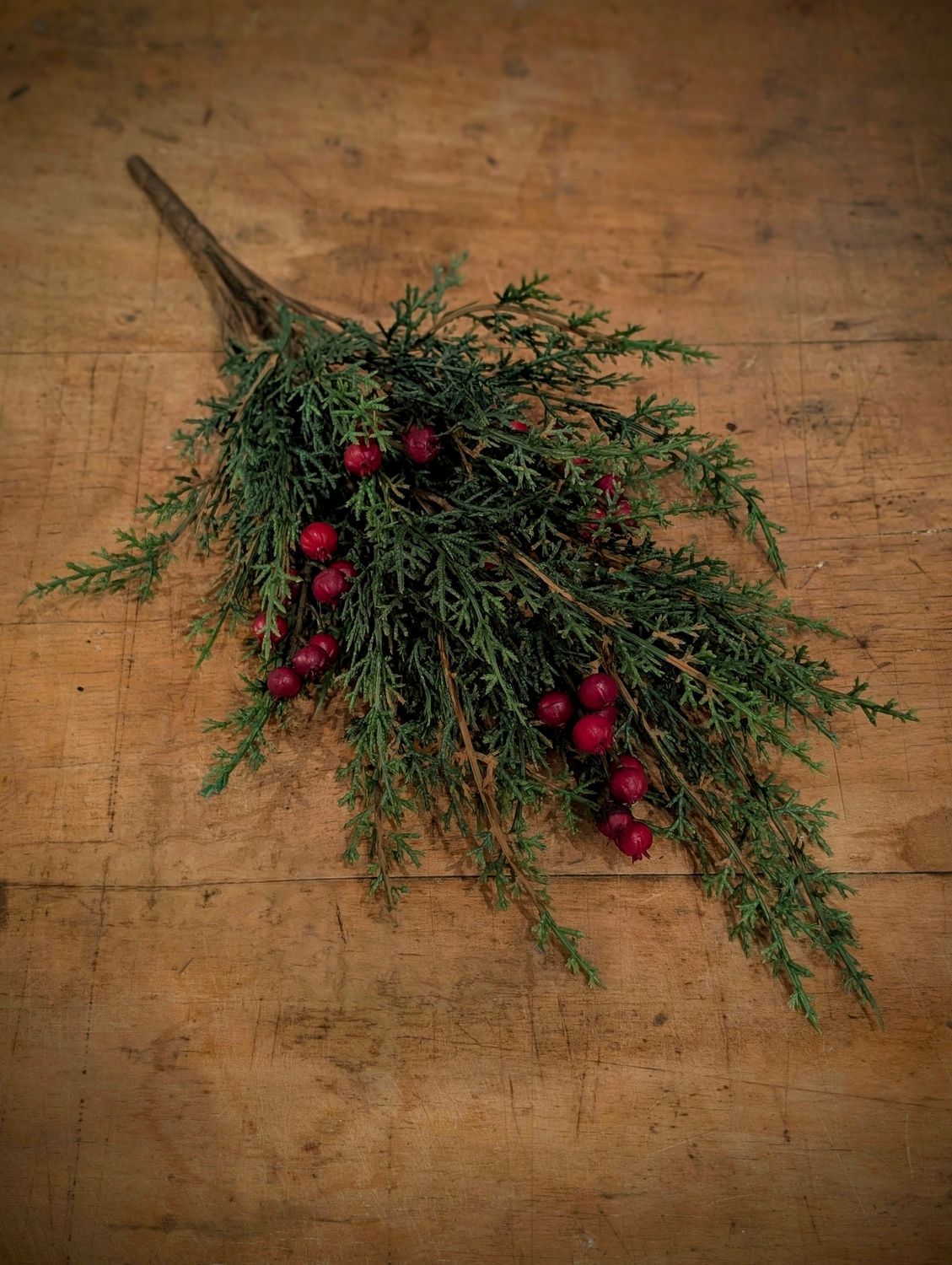 Red Berry &amp; Cedar Bush