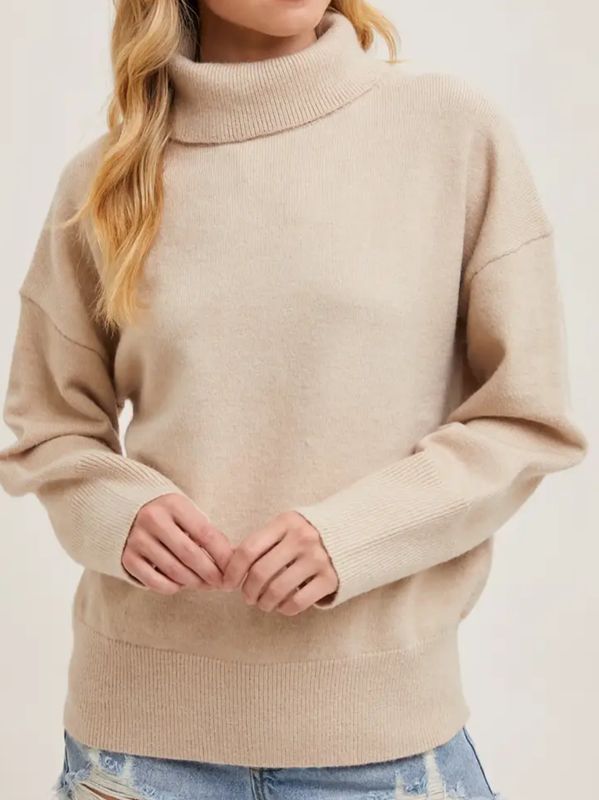 Turtle Neck Knit Sweater