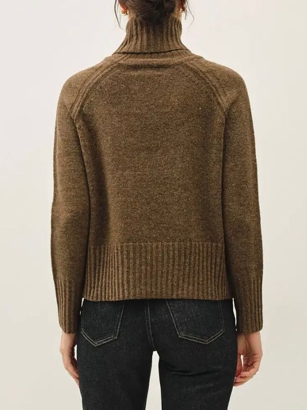 Wide Rib Trim Turtleneck Sweater