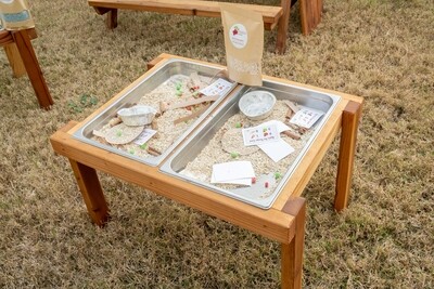 Double Sensory Table