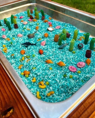 Coral Reef Sensory Play Kit