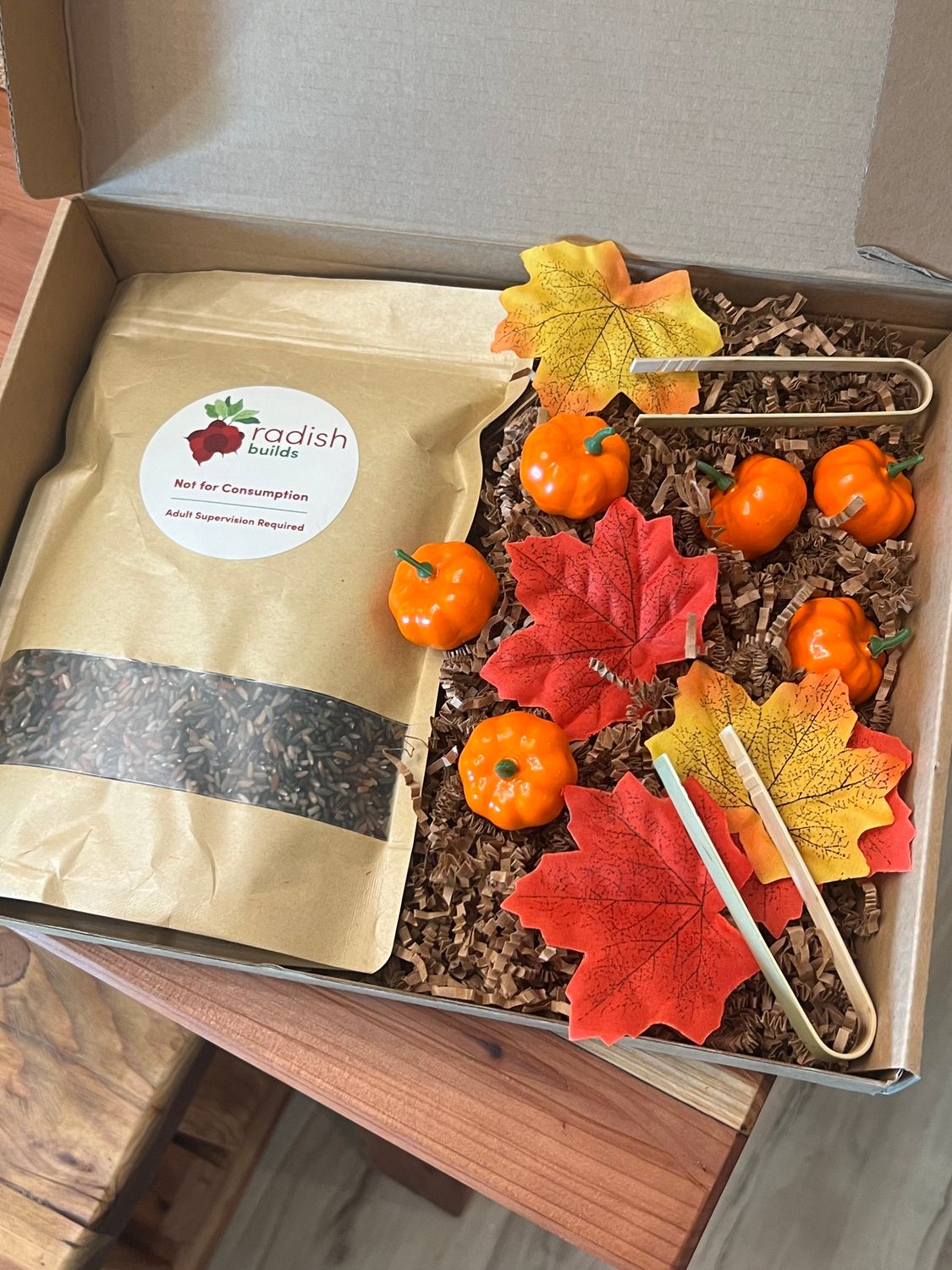 Pumpkin Patch Sensory Play Kit