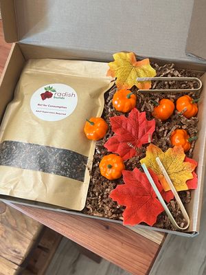 Pumpkin Patch Sensory Play Kit