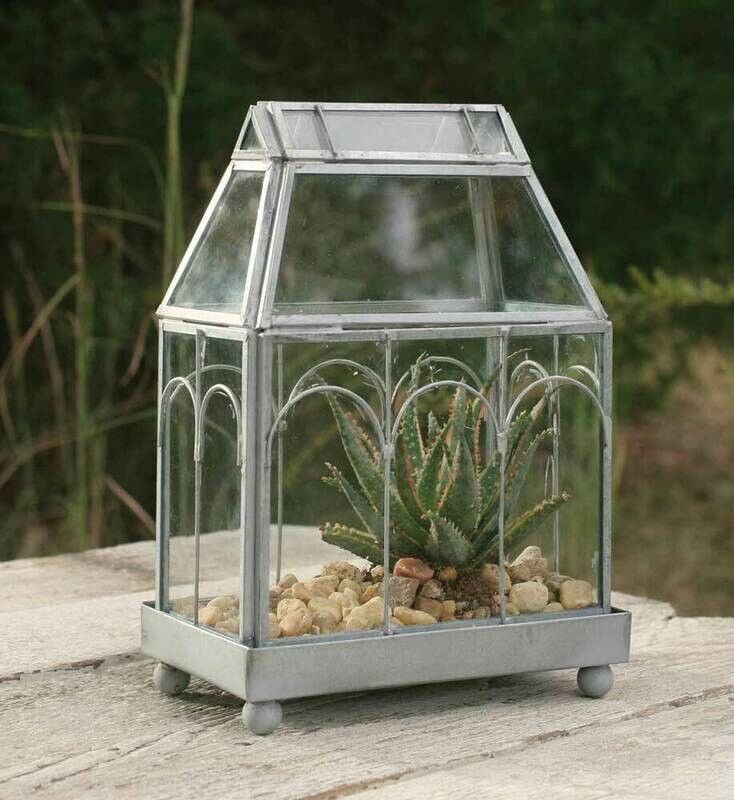 Archway Glass Terrarium (Special Order) Archway Glass Terrarium (Special Order)