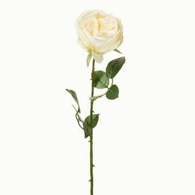 Long Stem English Rose- Soft Yellow 26 inch