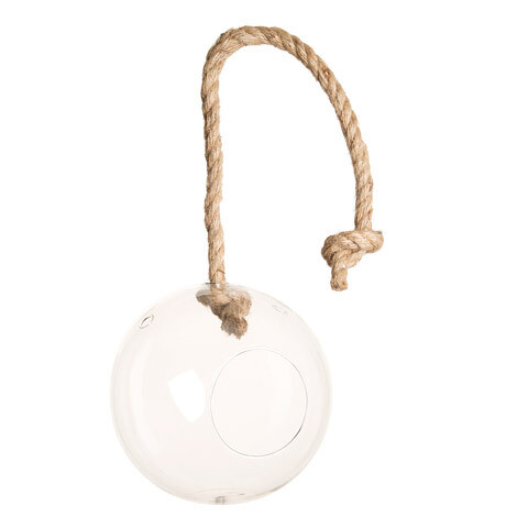 Round Hanging Terrarium with Rope 7 inch Round Hanging Terrarium with Rope 7 inch