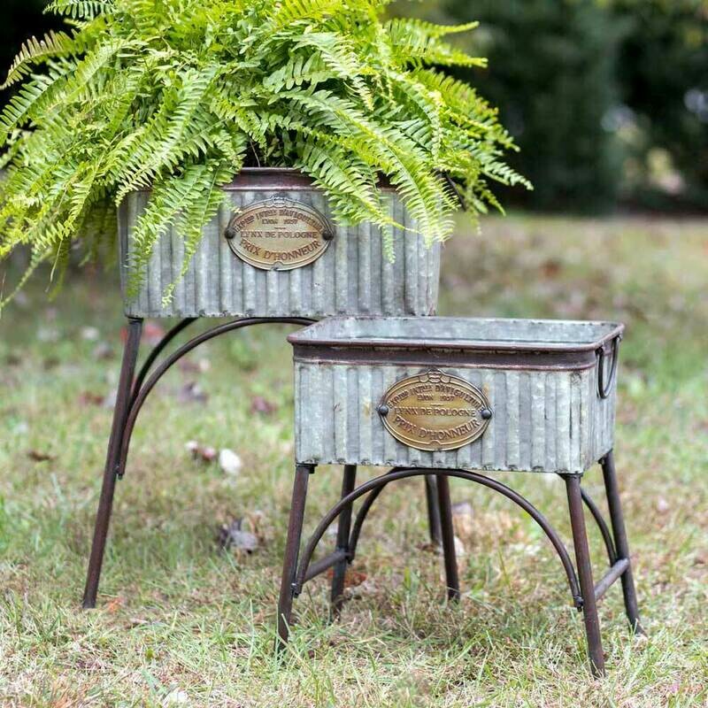 Set of Two Set of Two