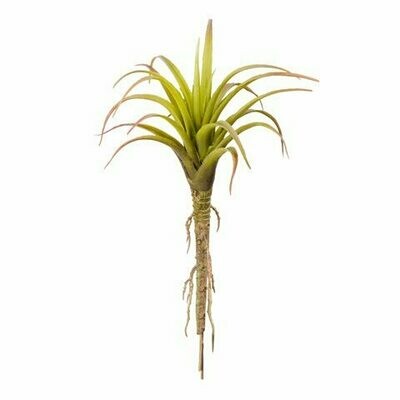 Succulant Yucca- Red/Green 7 inch