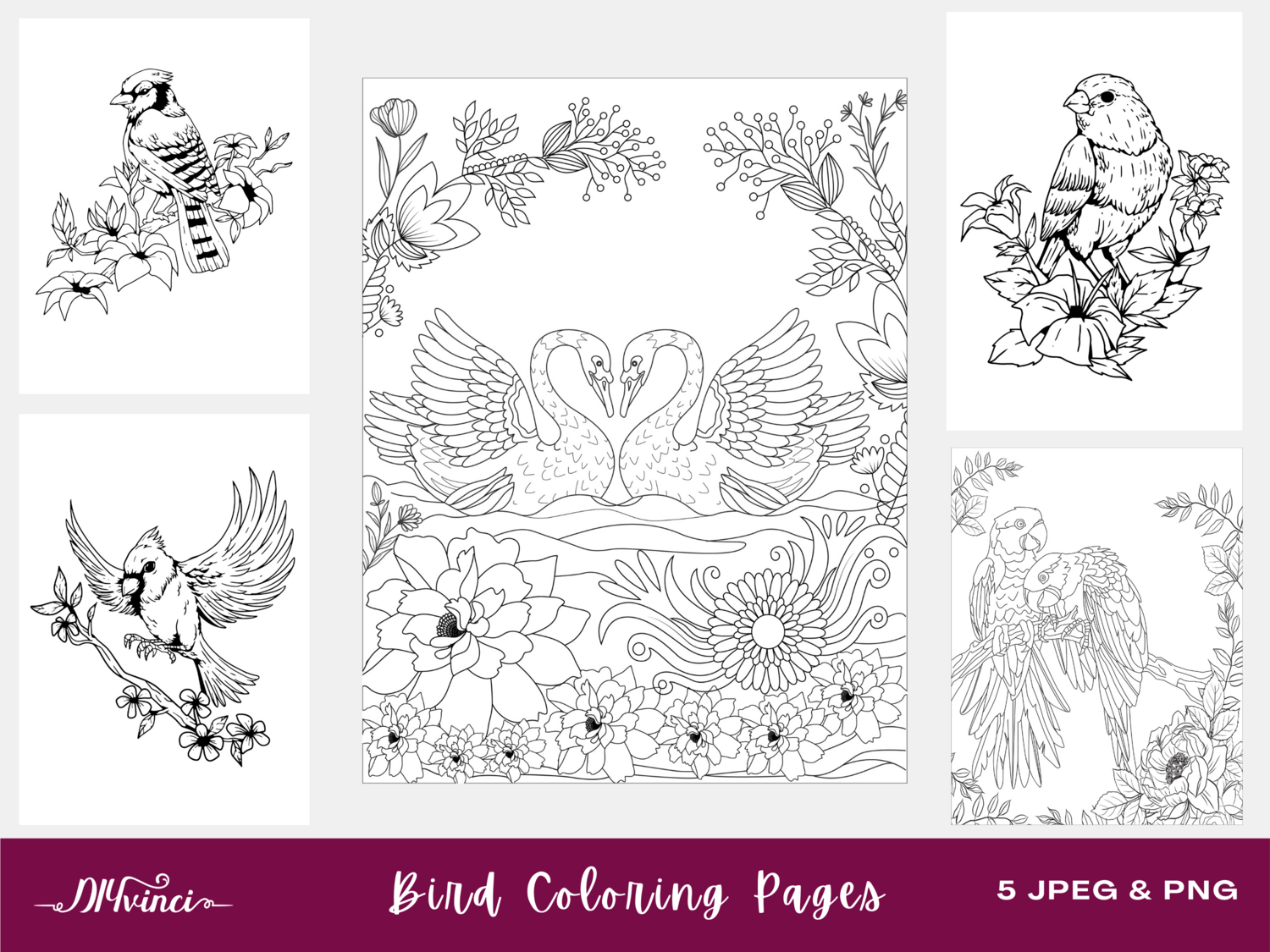 Bird Printable Coloring Pages - 5 JPEG & PNG - Personal and Commercial Use Bird Printable Coloring Pages - 5 JPEG & PNG - Personal and Commercial Use