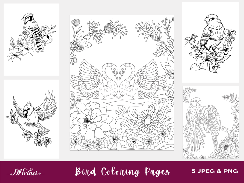 Bird Printable Coloring Pages - 5 JPEG & PNG - Personal and Commercial Use