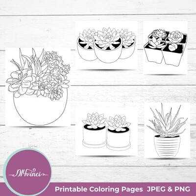 Succulent Printable Coloring Pages - JPEG & PNG - Personal and Commercial Use