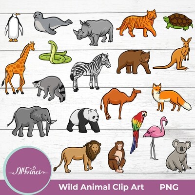 20 Wild Animal Clip Art - PNG - Personal & Commercial Use
