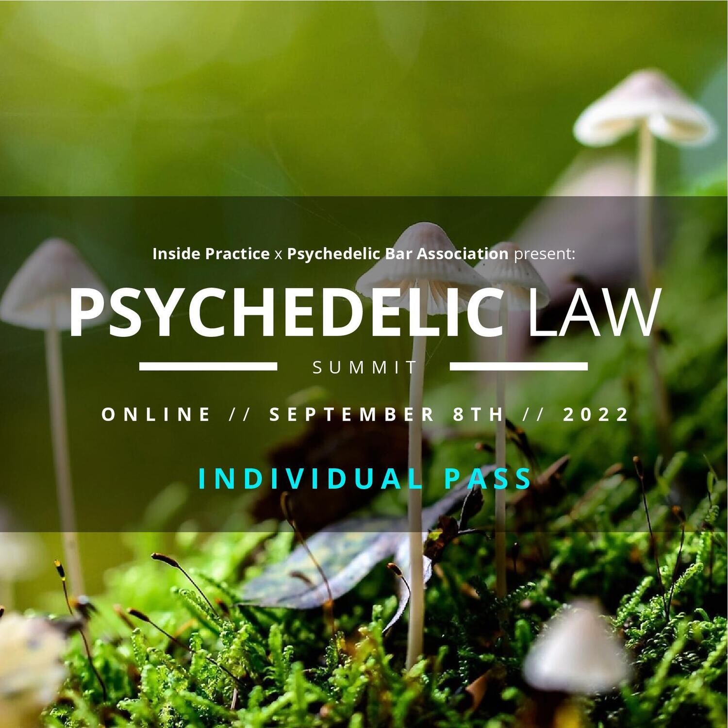 Psychedelic Law Summit Individual Registration