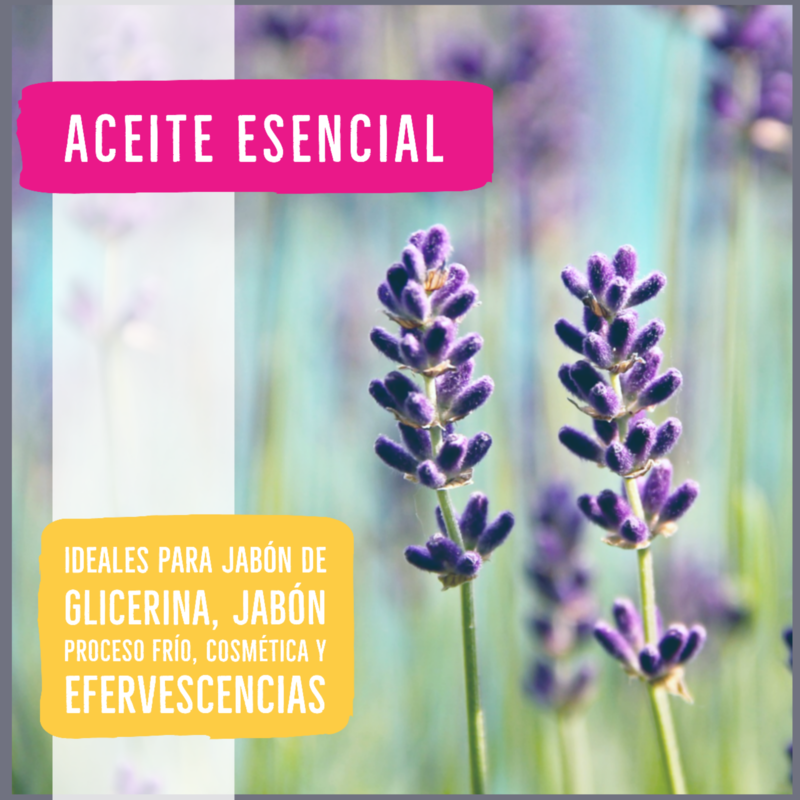 Aceite Esencial Lavanda - 10ml