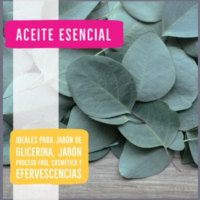 Aceite Esencial Eucalipto - 10ml
