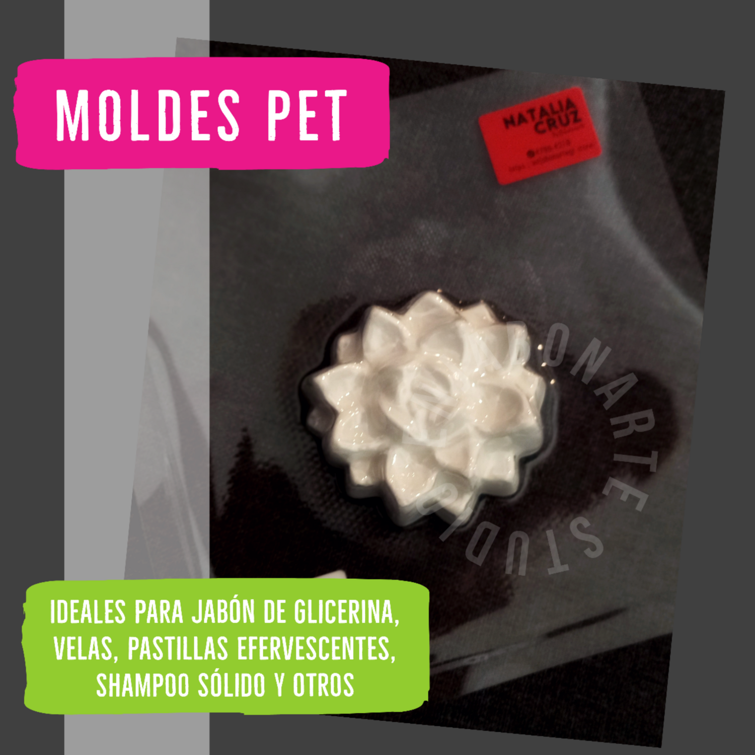 Molde PET-  Suculenta 