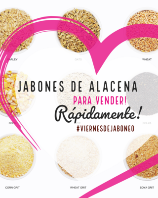 🎁 RECETARIO: Jabones de Alacena para Vender Rápidamente (cualquier compra)