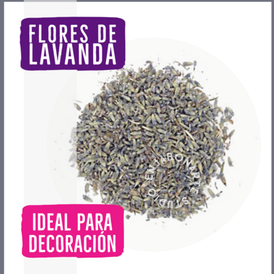 Flores de Lavanda - Pétalos 