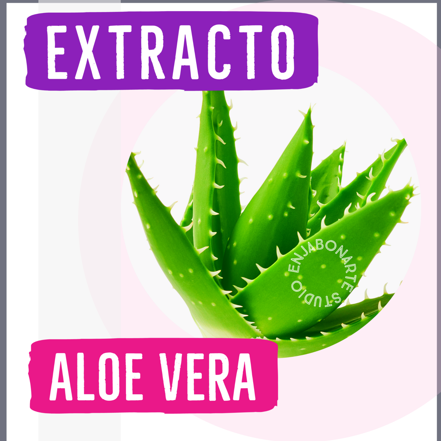 Extracto Acuoso Aloe Vera 15ml