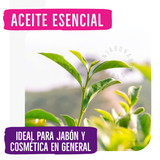 Aceite Esencial Árbol de Te - 10ml