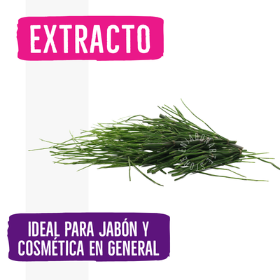 Extracto Acuoso Cola de Caballo - 1 Oz