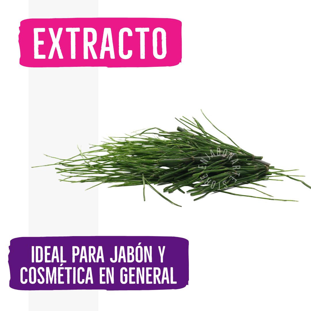 Extracto Acuoso Cola de Caballo - 1 Oz
