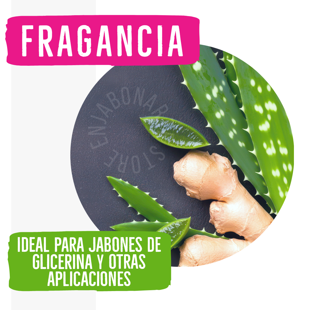 Fragancia PLUS Ginger Aloe - 1oz