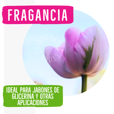 Fragancia PLUS Victoria Secret Dupe - 1oz