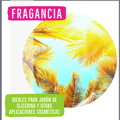 Fragancia Citrus Dream 15ml