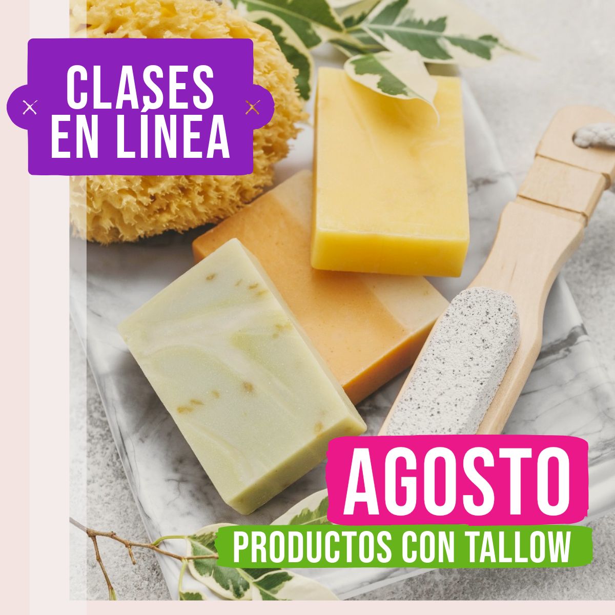 Programa Clases AGOSTO en Línea - 3 clases 