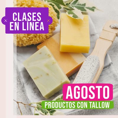 Programa Clases AGOSTO en Línea - 3 clases 