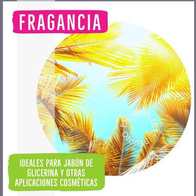 Fragancia Citrus Dream 1oz 