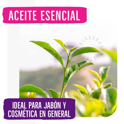 Aceite Esencial Árbol de Te - 10ml