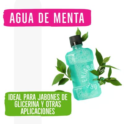 Agua de Menta - 120ml