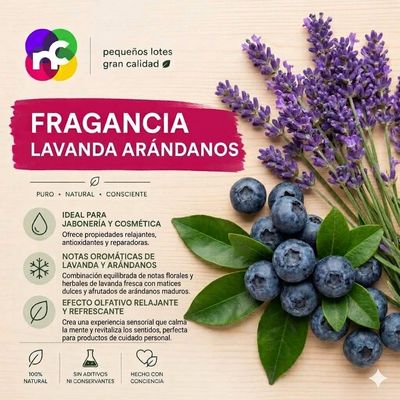 Fragancia Lavanda Arándano - 15ml