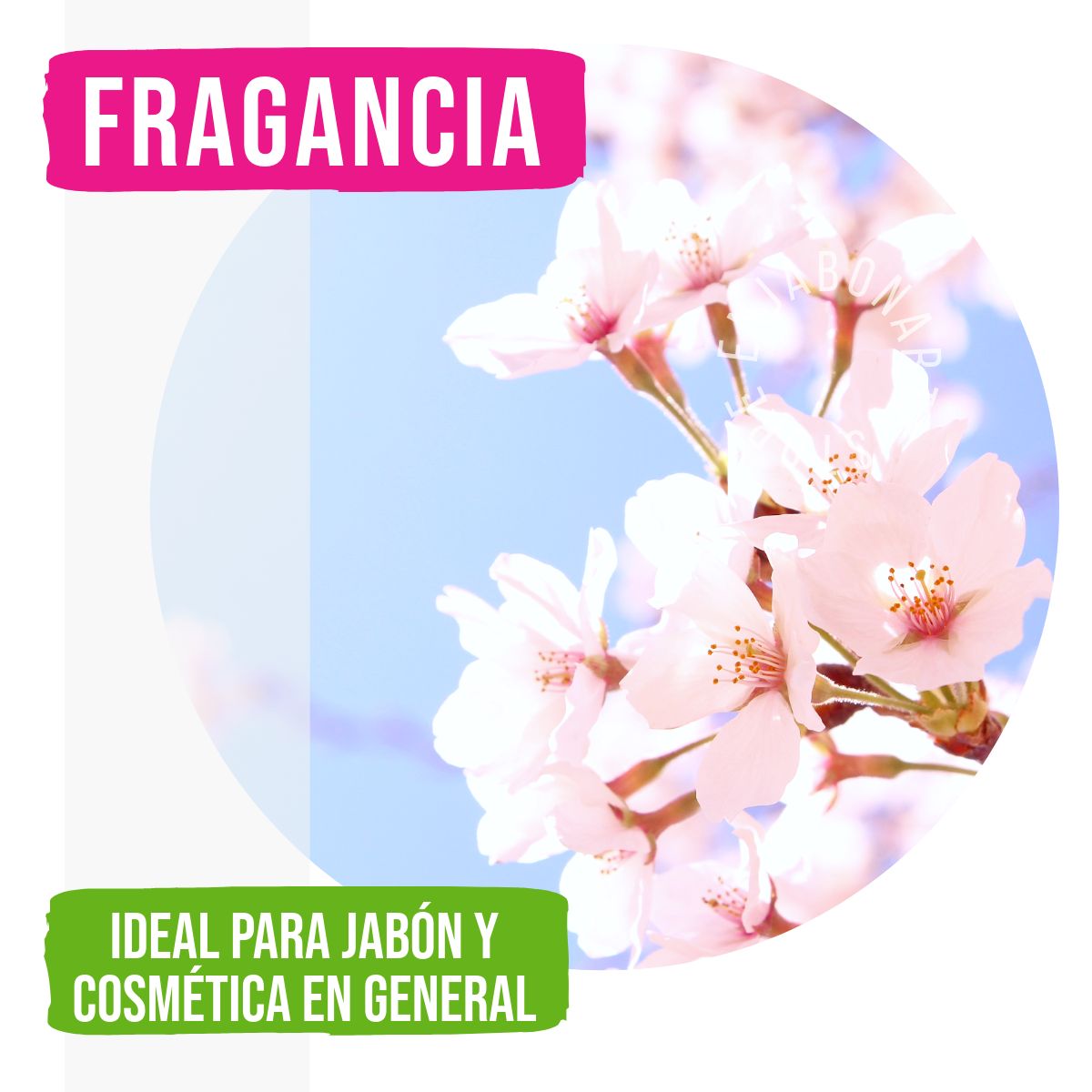 Fragancia Cherry Blossom - 1oz