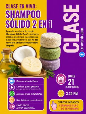 Clase Shampoo Sólido - 2n1