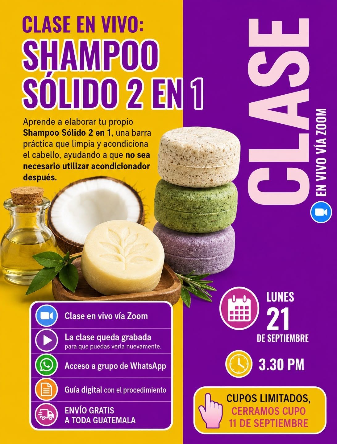 Clase Shampoo Sólido - 2n1