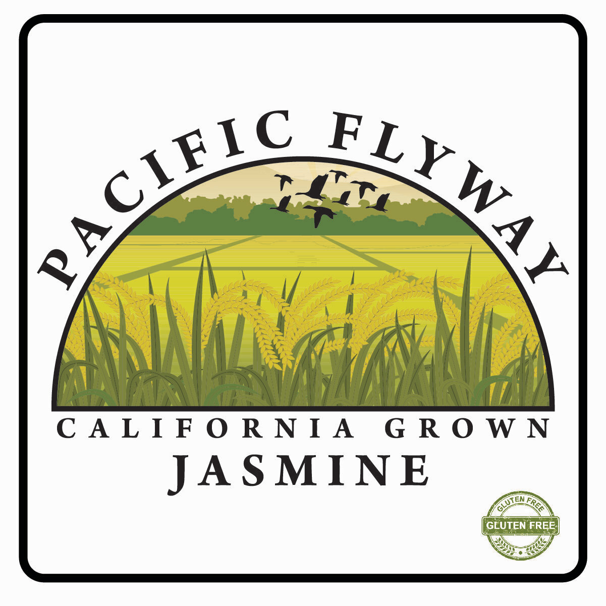 2 lb Jasmine Rice (20 ct. carton = 40 lbs rice)