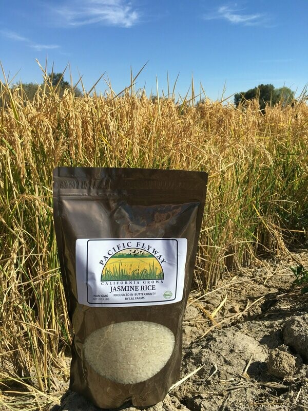 Jasmine Rice (2 lb)
