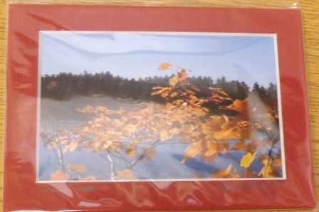 Autumn&#39;s Grace Matted Red
