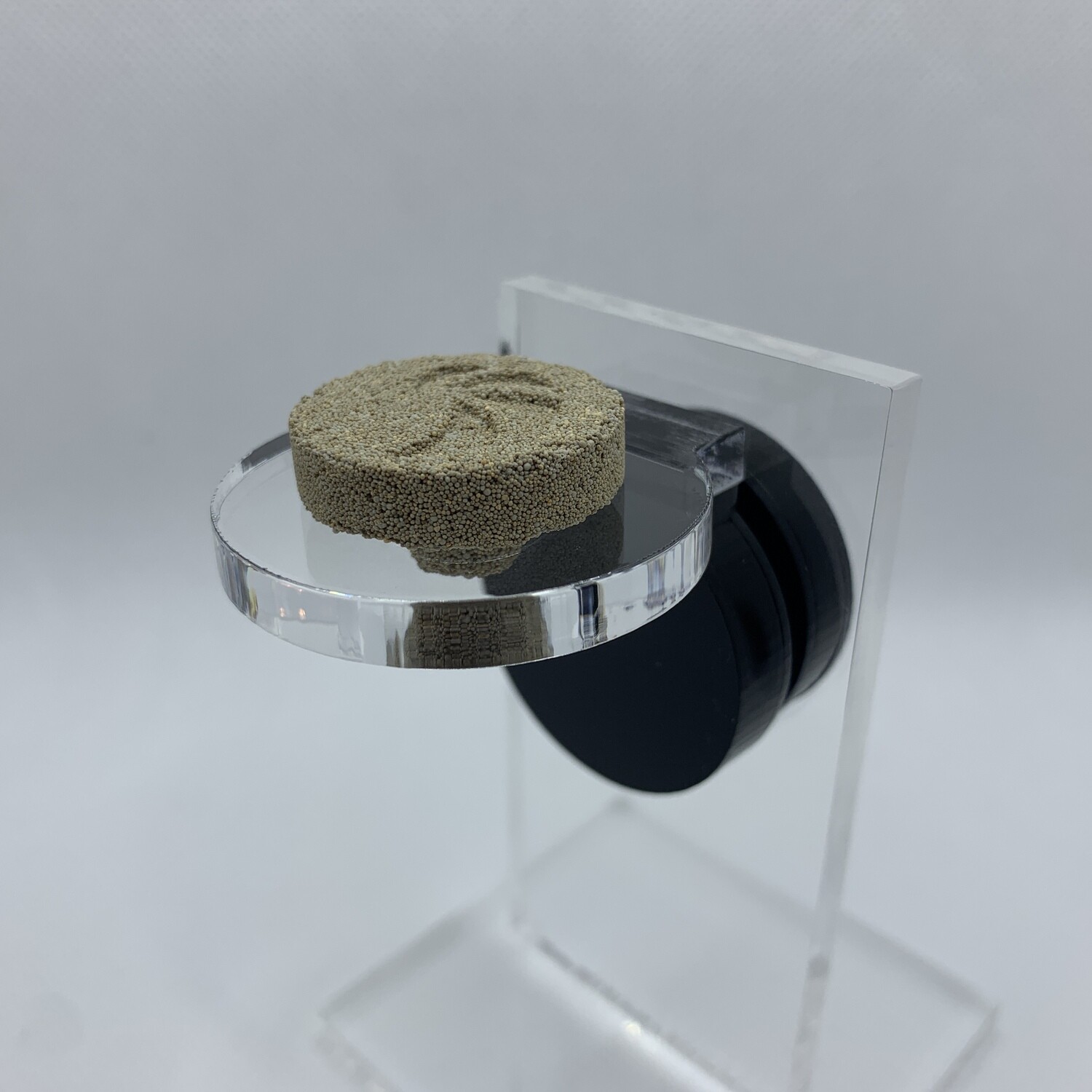 Clear Single Frag Rack