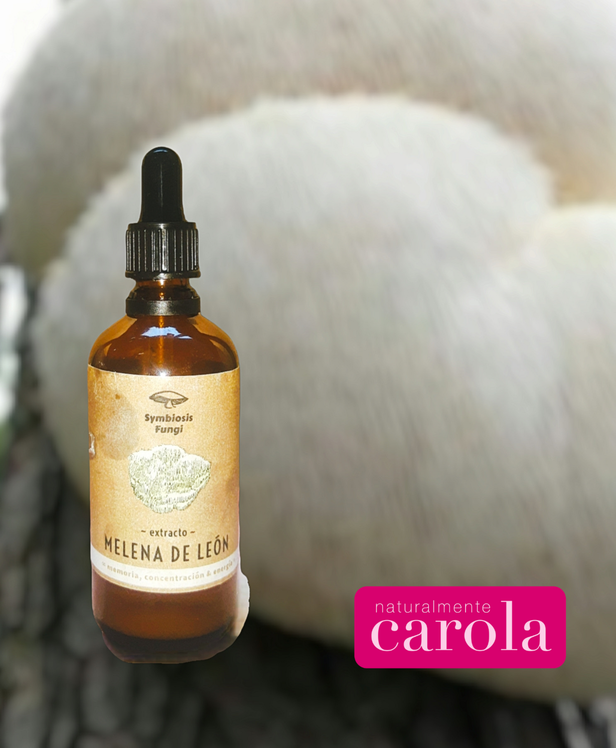 MELENA DE LEON HONGOS MEDICINALES: doble extracto 100ml. Orgánico