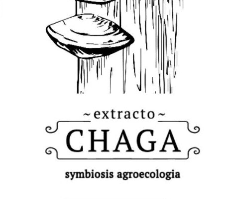 HONGOS MEDICINALES EXTRACTO DE CHAGA 100ml