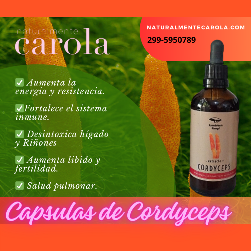 CORDYCEPS. HONGO MEDICINALES DOBLE EXTRACTO.