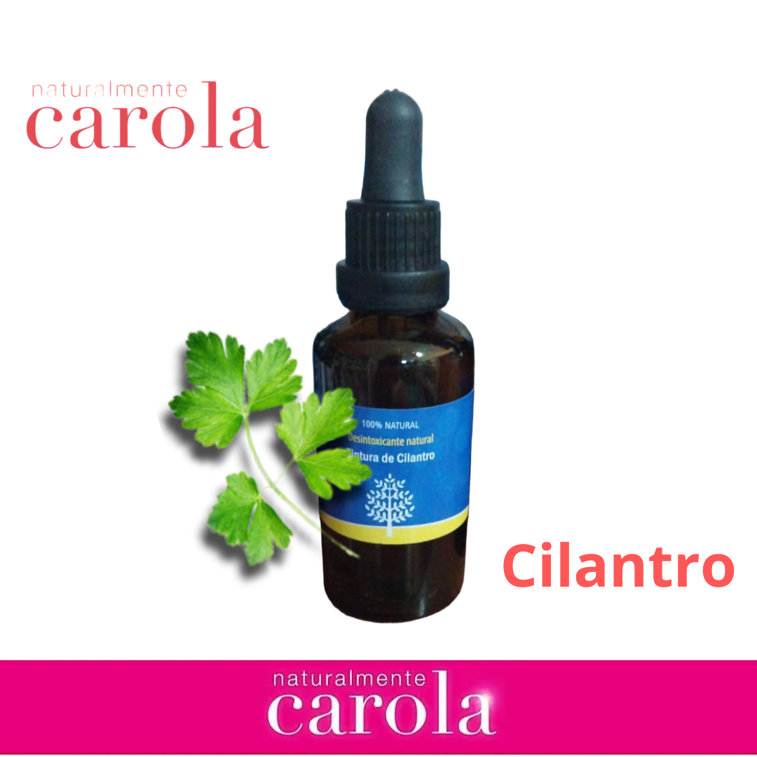 CILANTRO TINTURA MADRE gotas x 50cc