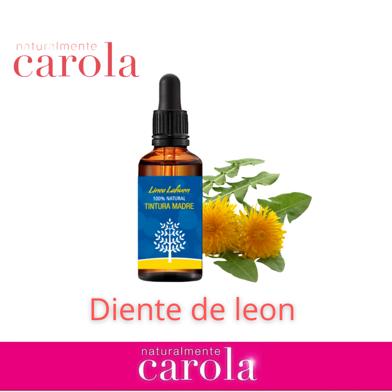 DIENTE DE LEON TINTURA MADRE gotasx50cc