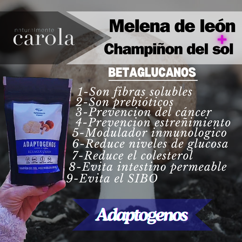 BETAGLUCANOS HONGOS ADAPTOGENOSl 80gr.