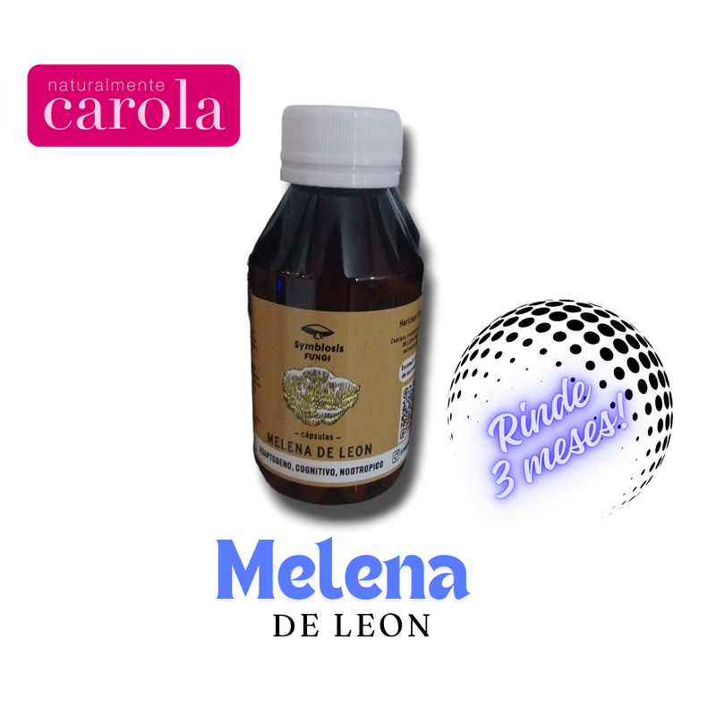 MELENA DE LEON HONGO MEDICINAL EXTRACTO POR 250ML